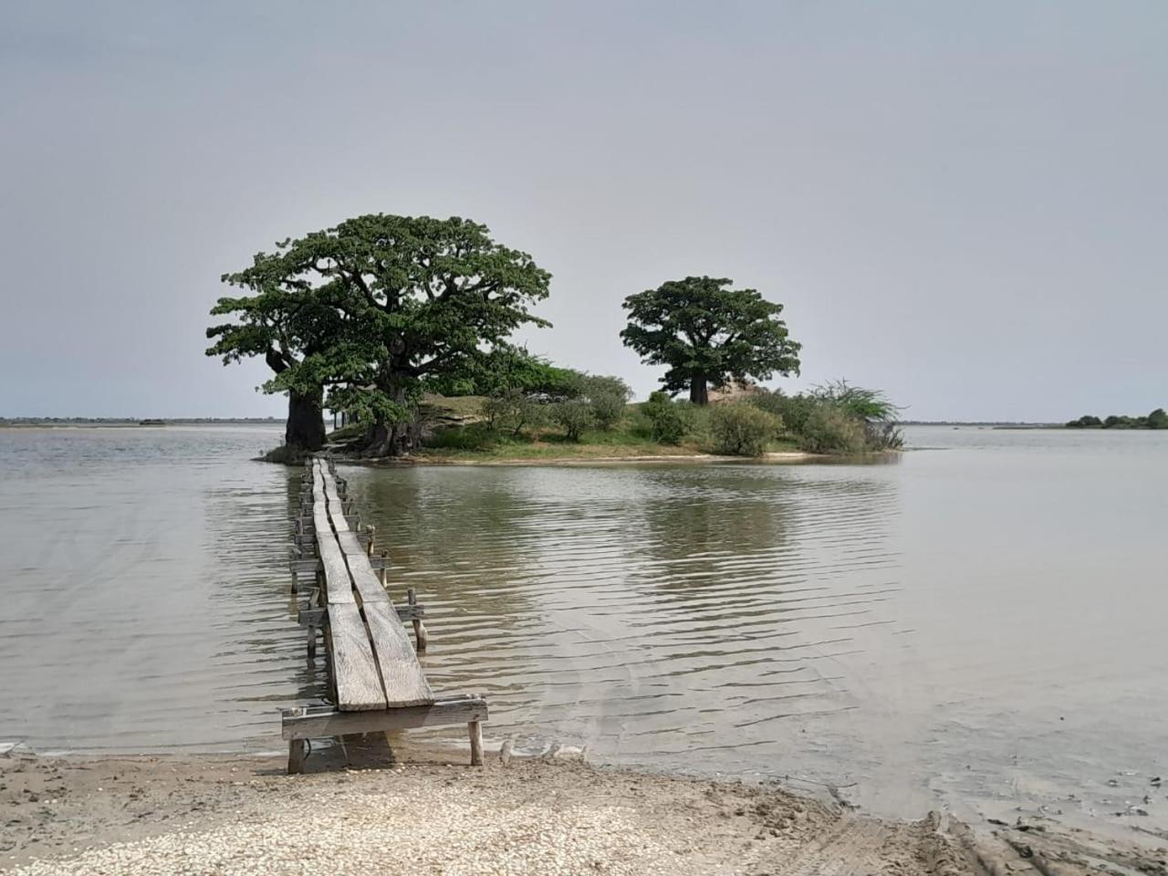 Les Collines De Niassam Villa Palmarin Bagian luar foto