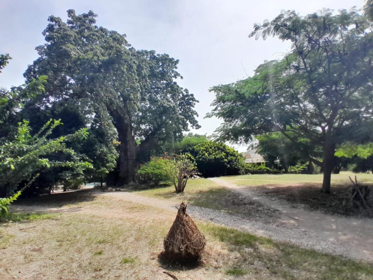 Les Collines De Niassam Villa Palmarin Bagian luar foto